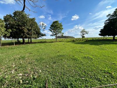 S&iacute;tio para Venda na cidade de Uchoa no bairro &Aacute;rea Rural de Uchoa